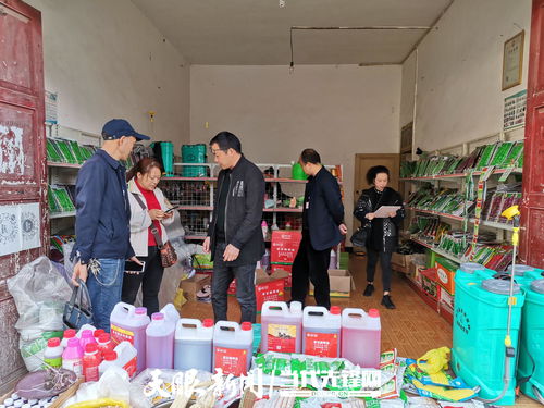 畢節大方 農資打假護春耕，促種業安全發展展新篇